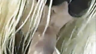 बस्टी अप्सरा कोर्टनी केन अप्रतिम कॉक रायडर आहे